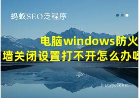 电脑windows防火墙关闭设置打不开怎么办呀