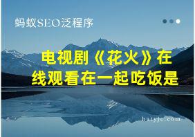 电视剧《花火》在线观看在一起吃饭是