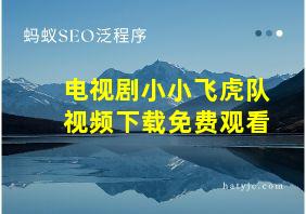 电视剧小小飞虎队视频下载免费观看