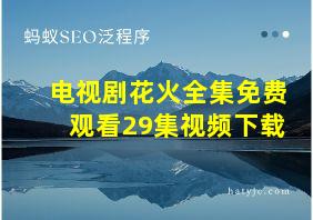 电视剧花火全集免费观看29集视频下载