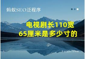 电视剧长110宽65厘米是多少寸的