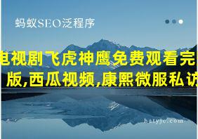 电视剧飞虎神鹰免费观看完整版,西瓜视频,康熙微服私访