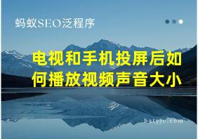 电视和手机投屏后如何播放视频声音大小