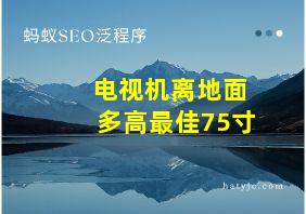 电视机离地面多高最佳75寸