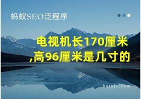 电视机长170厘米,高96厘米是几寸的