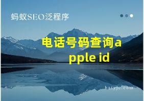 电话号码查询apple id