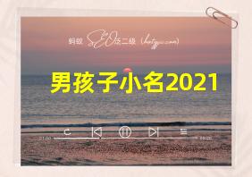 男孩子小名2021