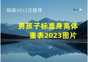 男孩子标准身高体重表2023图片