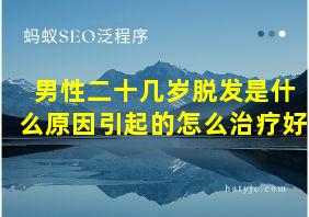 男性二十几岁脱发是什么原因引起的怎么治疗好