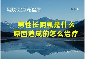 男性长阴虱是什么原因造成的怎么治疗