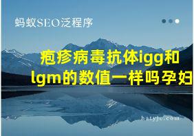 疱疹病毒抗体igg和lgm的数值一样吗孕妇