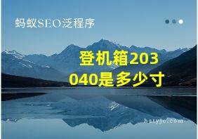 登机箱203040是多少寸