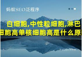 白细胞,中性粒细胞,淋巴细胞高单核细胞高是什么原因