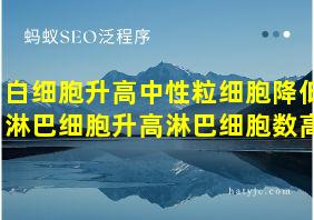 白细胞升高中性粒细胞降低淋巴细胞升高淋巴细胞数高