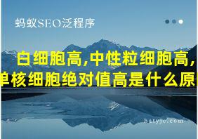 白细胞高,中性粒细胞高,单核细胞绝对值高是什么原因