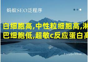 白细胞高,中性粒细胞高,淋巴细胞低,超敏c反应蛋白高