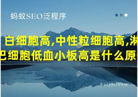 白细胞高,中性粒细胞高,淋巴细胞低血小板高是什么原因