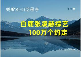 白鹿张凌赫综艺100万个约定