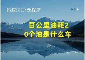 百公里油耗20个油是什么车