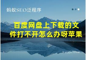 百度网盘上下载的文件打不开怎么办呀苹果