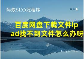 百度网盘下载文件ipad找不到文件怎么办呀