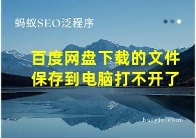 百度网盘下载的文件保存到电脑打不开了