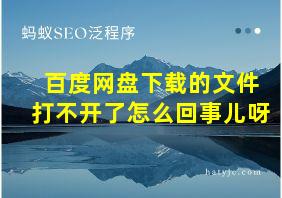 百度网盘下载的文件打不开了怎么回事儿呀