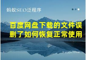 百度网盘下载的文件误删了如何恢复正常使用