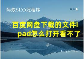 百度网盘下载的文件ipad怎么打开看不了