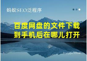 百度网盘的文件下载到手机后在哪儿打开