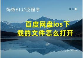 百度网盘ios下载的文件怎么打开