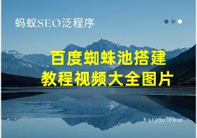 百度蜘蛛池搭建教程视频大全图片