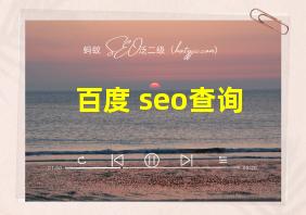 百度 seo查询