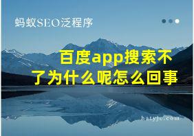 百度app搜索不了为什么呢怎么回事