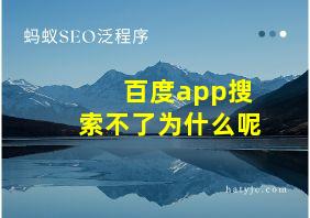 百度app搜索不了为什么呢