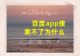 百度app搜索不了为什么