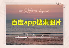 百度app搜索图片