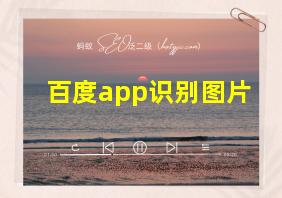 百度app识别图片