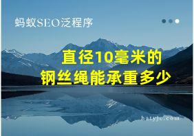 直径10毫米的钢丝绳能承重多少