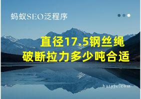 直径17.5钢丝绳破断拉力多少吨合适