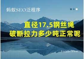 直径17.5钢丝绳破断拉力多少吨正常呢