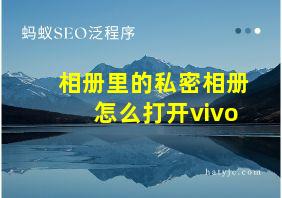 相册里的私密相册怎么打开vivo