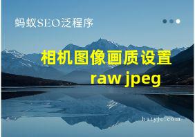 相机图像画质设置raw jpeg