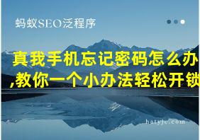 真我手机忘记密码怎么办,教你一个小办法轻松开锁