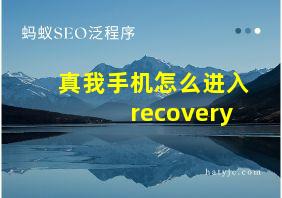 真我手机怎么进入recovery