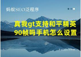 真我gt支持和平精英90帧吗手机怎么设置