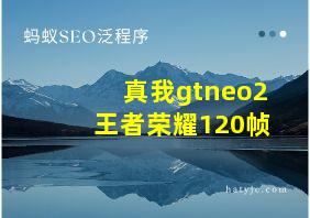 真我gtneo2王者荣耀120帧