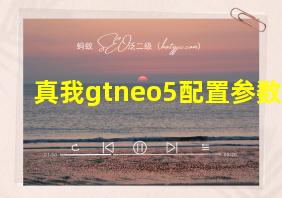 真我gtneo5配置参数