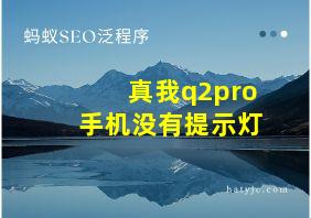 真我q2pro手机没有提示灯