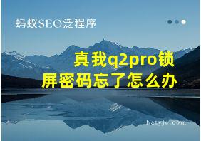 真我q2pro锁屏密码忘了怎么办